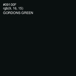 #09100F - Gordons Green Color Image